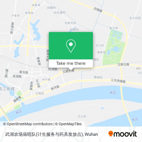 武湖农场庙咀队(计生服务与药具发放点) map