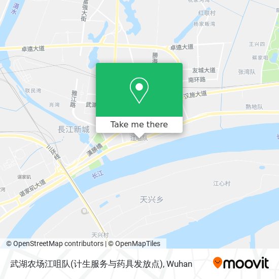 武湖农场江咀队(计生服务与药具发放点) map