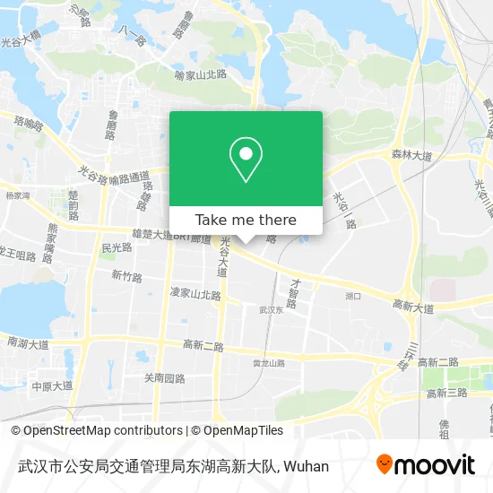 武汉市公安局交通管理局东湖高新大队 map