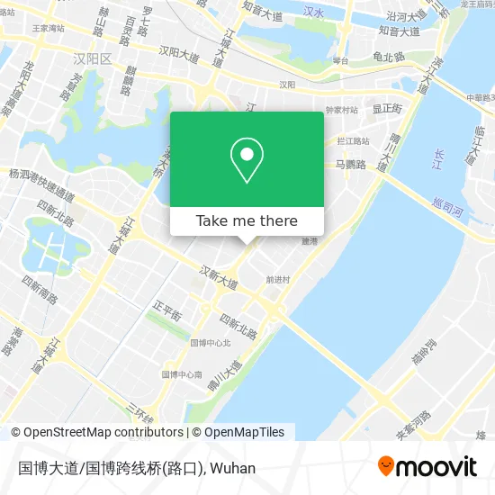 国博大道/国博跨线桥(路口) map