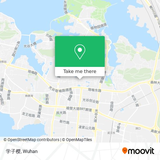 学子樱 map