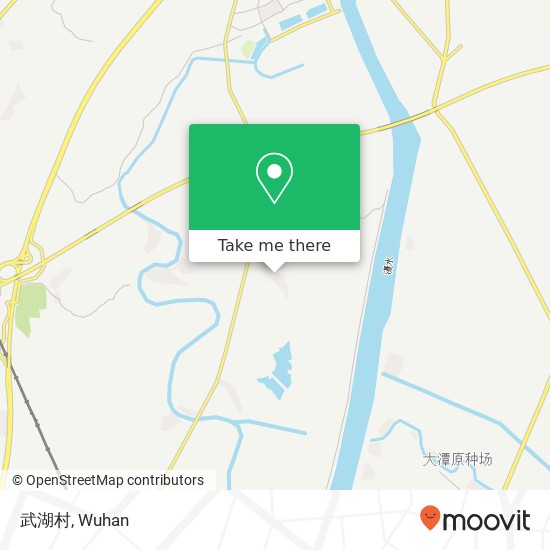 武湖村 map