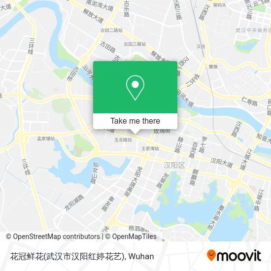 花冠鲜花(武汉市汉阳红婷花艺) map