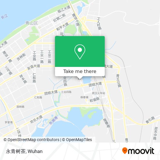 永青树茶 map