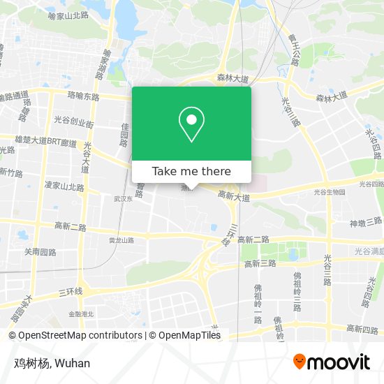 鸡树杨 map