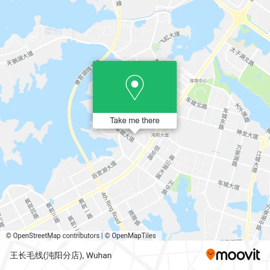 王长毛线(沌阳分店) map