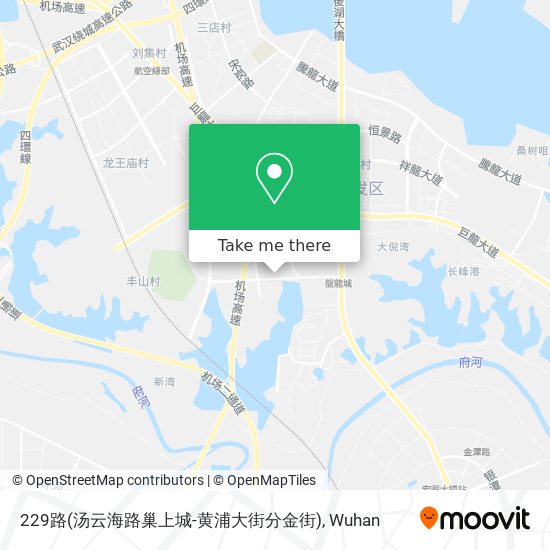 229路(汤云海路巢上城-黄浦大街分金街) map