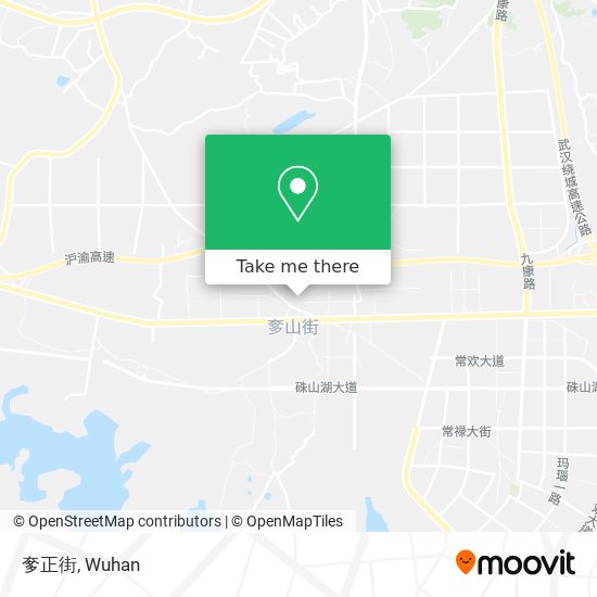 奓正街 map