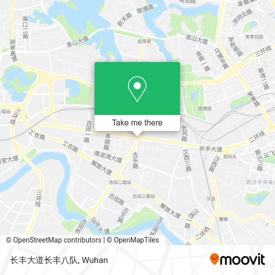 长丰大道长丰八队 map
