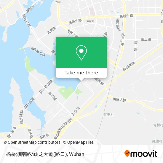 杨桥湖南路/藏龙大道(路口) map