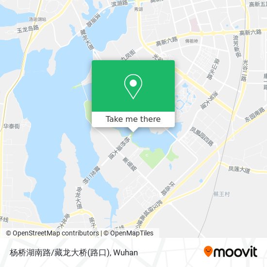杨桥湖南路/藏龙大桥(路口) map