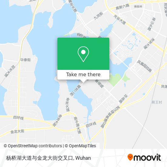 杨桥湖大道与金龙大街交叉口 map