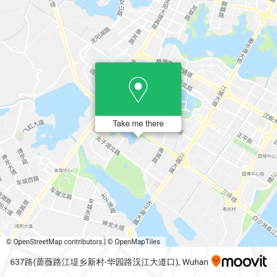 637路(蔷薇路江堤乡新村-华园路汉江大道口) map