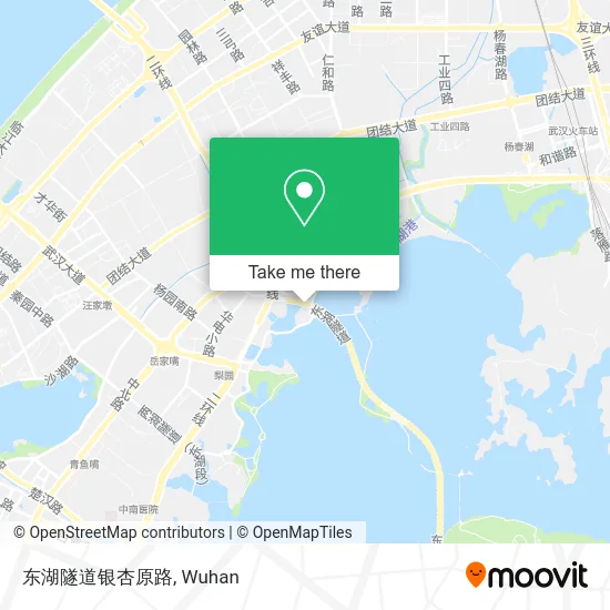 东湖隧道银杏原路 map