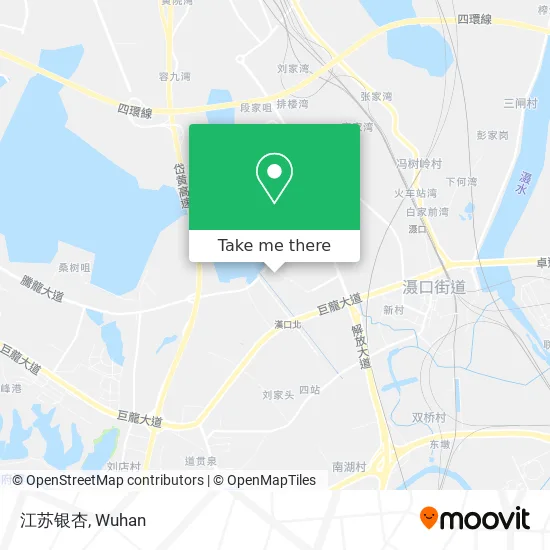 江苏银杏 map