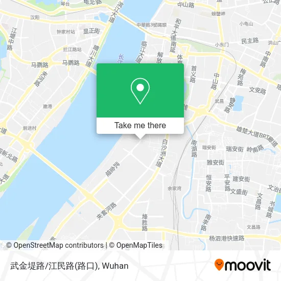 武金堤路/江民路(路口) map