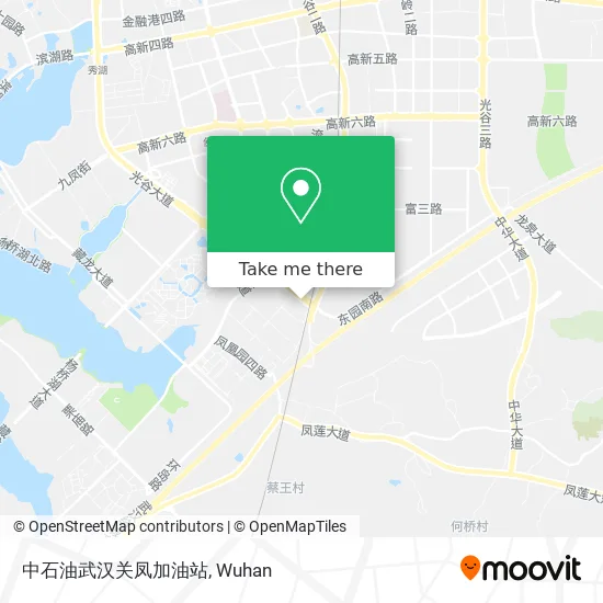 中石油武汉关凤加油站 map