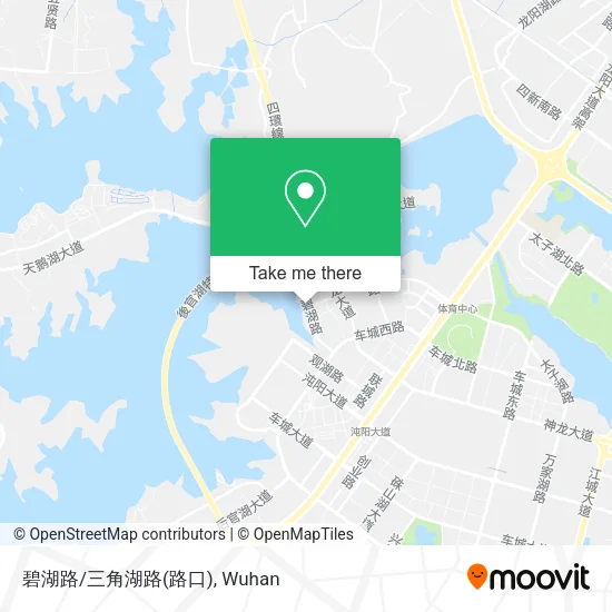 碧湖路/三角湖路(路口) map