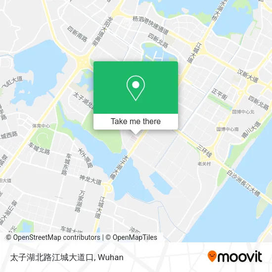 太子湖北路江城大道口 map