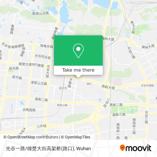 光谷一路/雄楚大街高架桥(路口) map