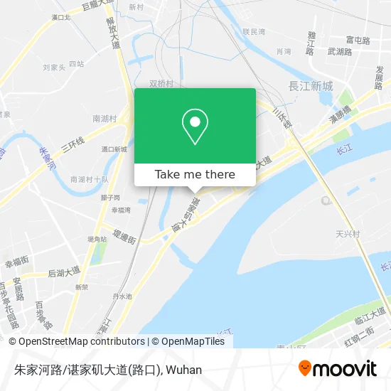 朱家河路/谌家矶大道(路口) map