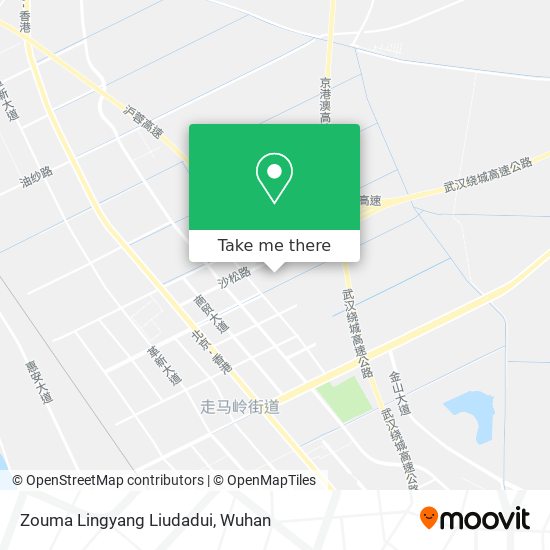 Zouma Lingyang Liudadui map