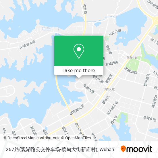 267路(观湖路公交停车场-蔡甸大街新庙村) map