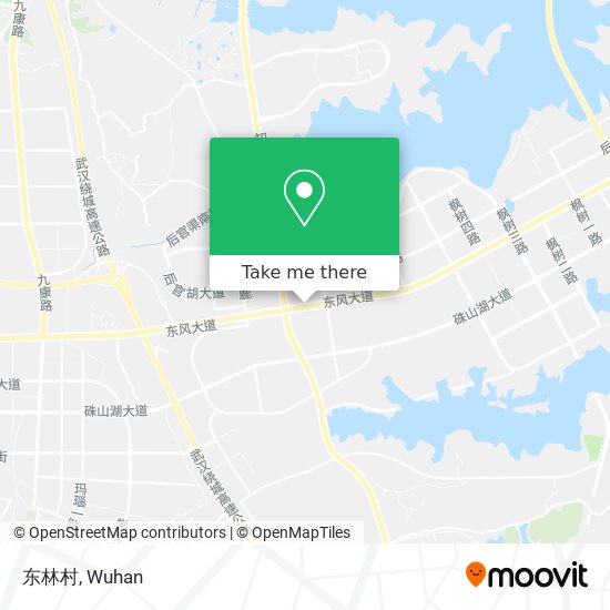 东林村 map
