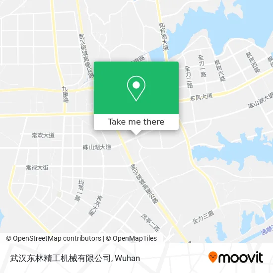 武汉东林精工机械有限公司 map