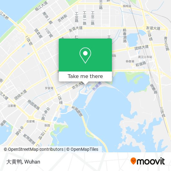 大黄鸭 map