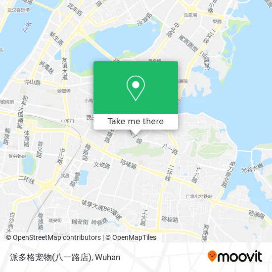 派多格宠物(八一路店) map