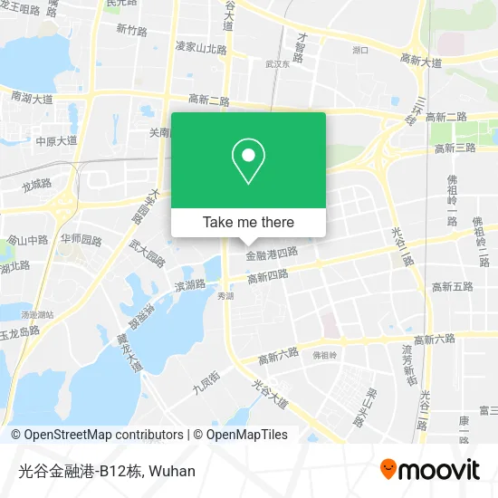 光谷金融港-B12栋 map