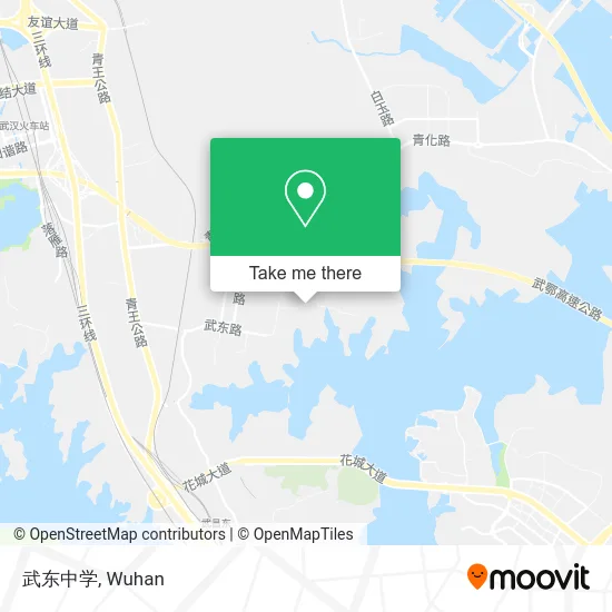 武东中学 map