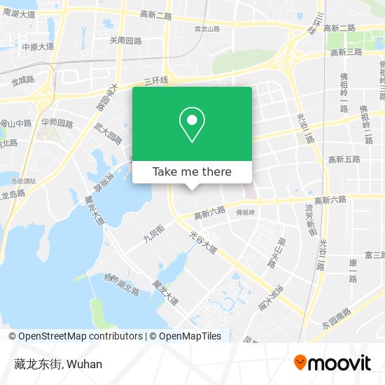 藏龙东街 map