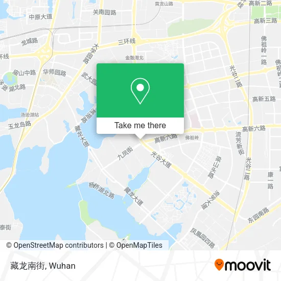 藏龙南街 map