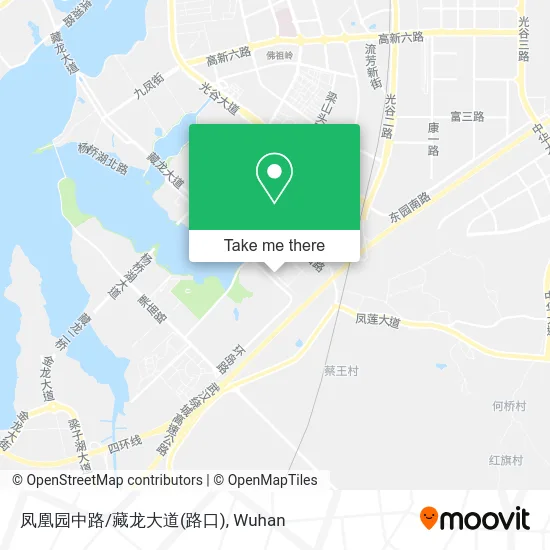 凤凰园中路/藏龙大道(路口) map