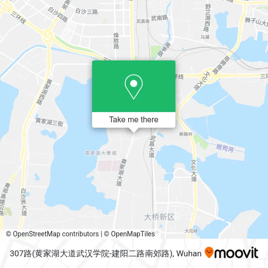 307路(黄家湖大道武汉学院-建阳二路南郊路) map