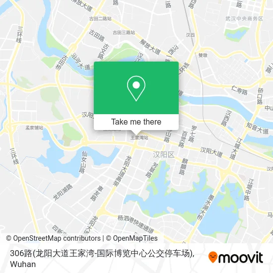 306路(龙阳大道王家湾-国际博览中心公交停车场) map