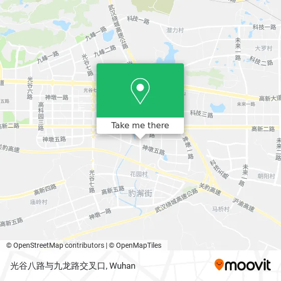 光谷八路与九龙路交叉口 map