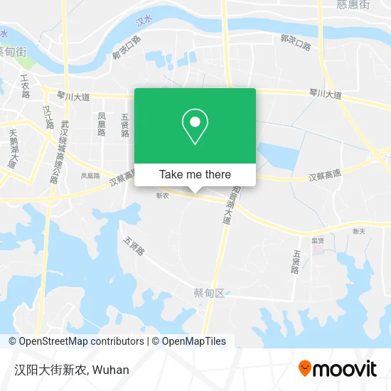 汉阳大街新农 map