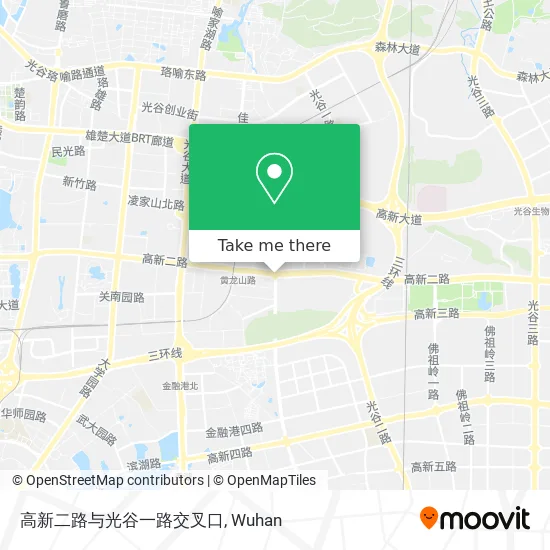 高新二路与光谷一路交叉口 map