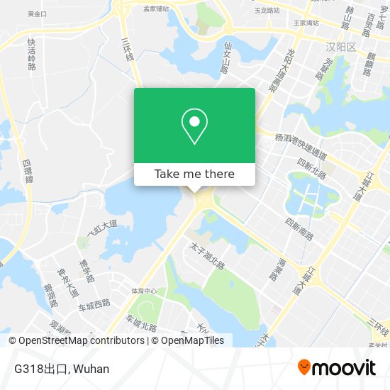 G318出口 map