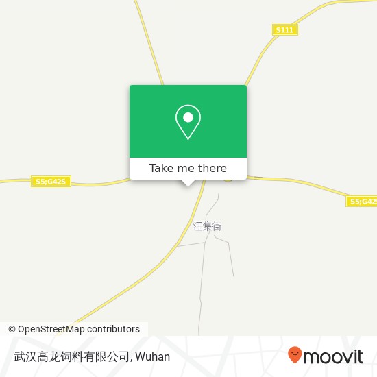 武汉高龙饲料有限公司 map