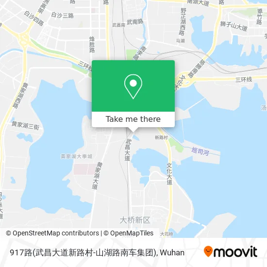 917路(武昌大道新路村-山湖路南车集团) map