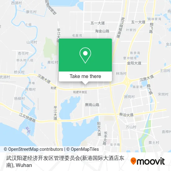 武汉阳逻经济开发区管理委员会(新港国际大酒店东南) map