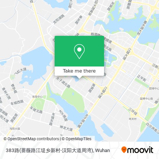 383路(蔷薇路江堤乡新村-汉阳大道周湾) map