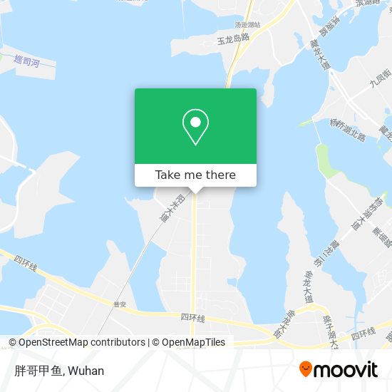 胖哥甲鱼 map