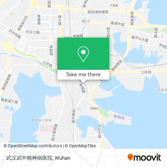 武汉武中精神病医院 map