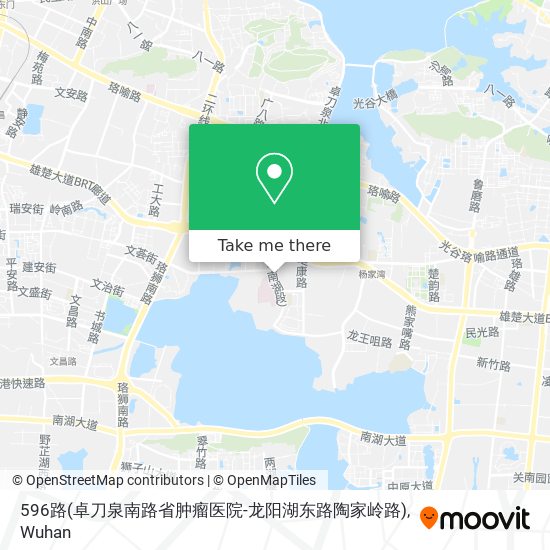 596路(卓刀泉南路省肿瘤医院-龙阳湖东路陶家岭路) map