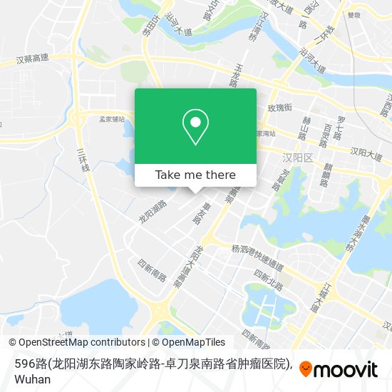 596路(龙阳湖东路陶家岭路-卓刀泉南路省肿瘤医院) map